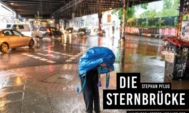 Buchcover: Stephan Pflug: Die Sternbrücke. Hamburgs letzter urbaner Ort, Junius Verlag