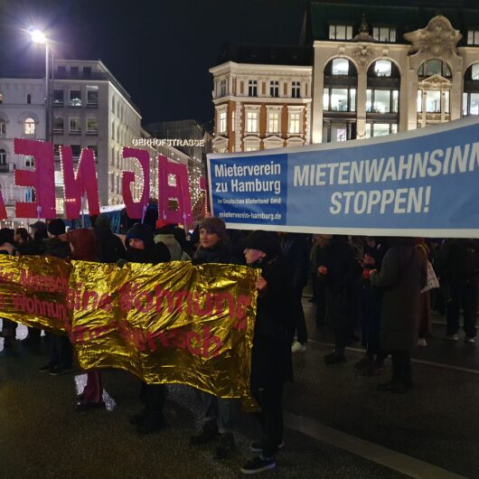 Eine Protestgruppe gegen den Mietenwahnsinn in Hamburg. Mehrere Protestplakate sind zu sehen.